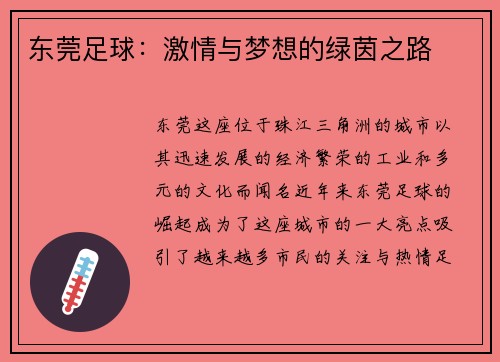 东莞足球：激情与梦想的绿茵之路