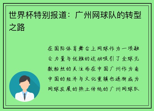 世界杯特别报道：广州网球队的转型之路